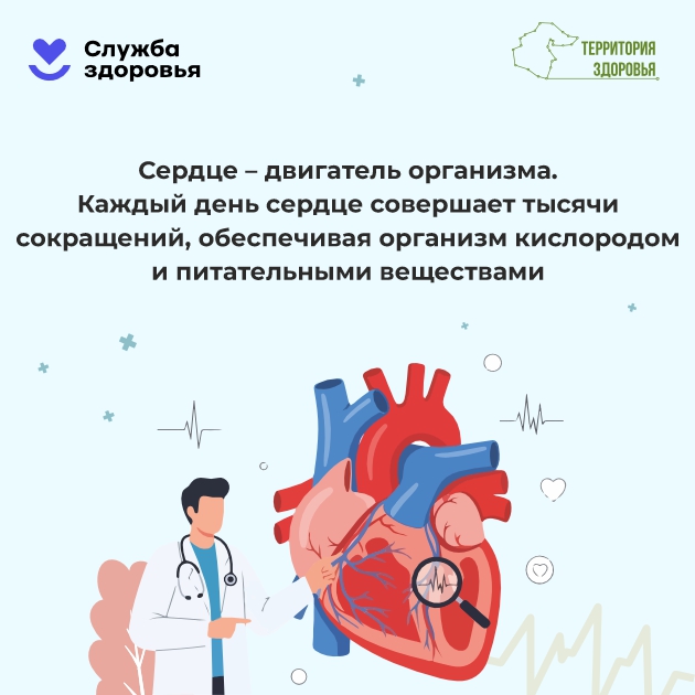Неделю с 28 сентября по 04 октября 2026 года Министерство здравоохранения Российской Федерации объявило Неделей ответственного отношения к сердцу (в честь Всемирного дня сердца – 29 сентября).
