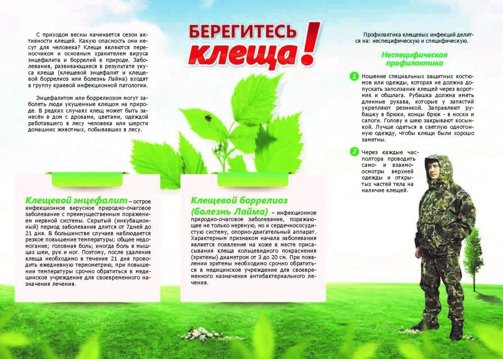 к2.jpg