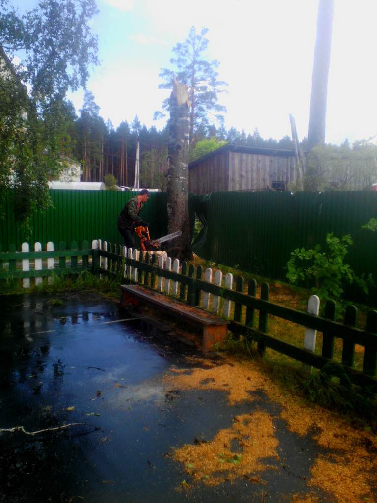 2017-06-19_00009.jpg