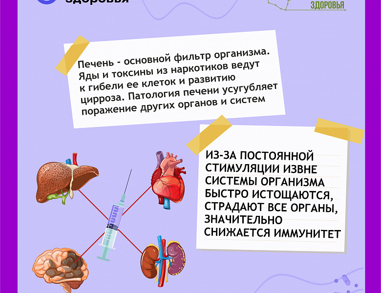 НЕТ НАРКОТИКАМ!