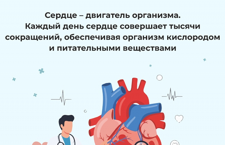Неделю с 28 сентября по 04 октября 2026 года Министерство здравоохранения Российской Федерации объявило Неделей ответственного отношения к сердцу (в честь Всемирного дня сердца – 29 сентября).